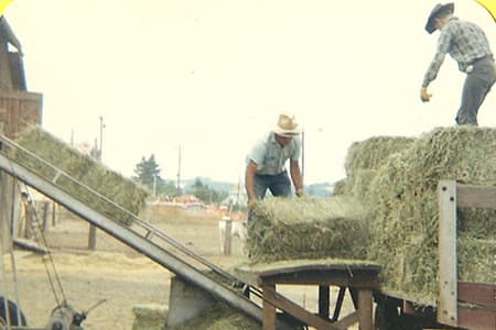 Bailing hay